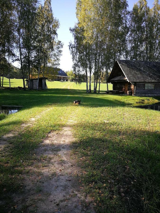 Sodyba Vieversyne Duokiskis Kültér fotó