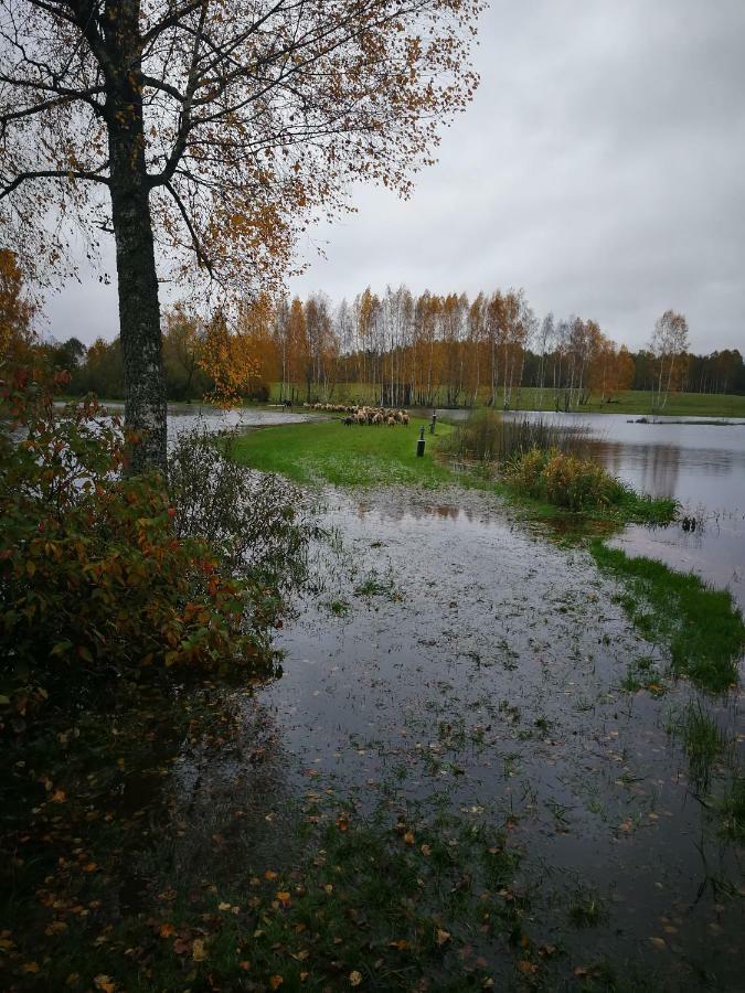Sodyba Vieversyne Duokiskis Kültér fotó