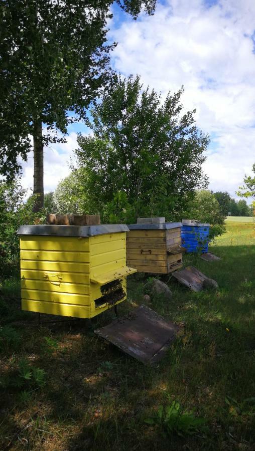 Sodyba Vieversyne Duokiskis Kültér fotó